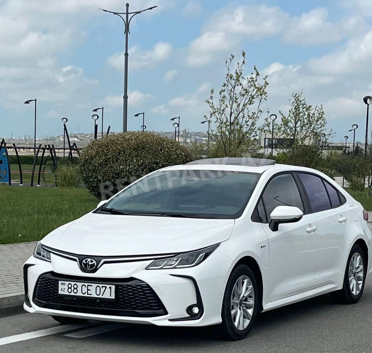Toyota Corolla